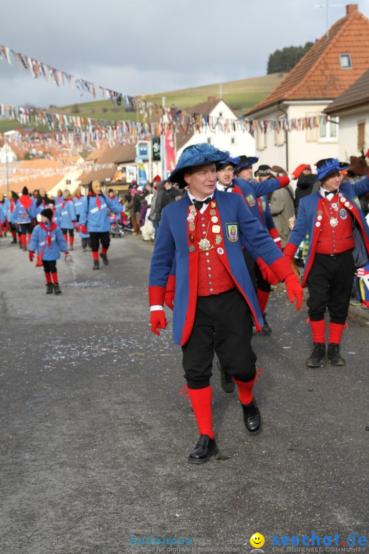 Narrentreffen - NV Kamelia: Tengen am Bodensee, 03.02.2013