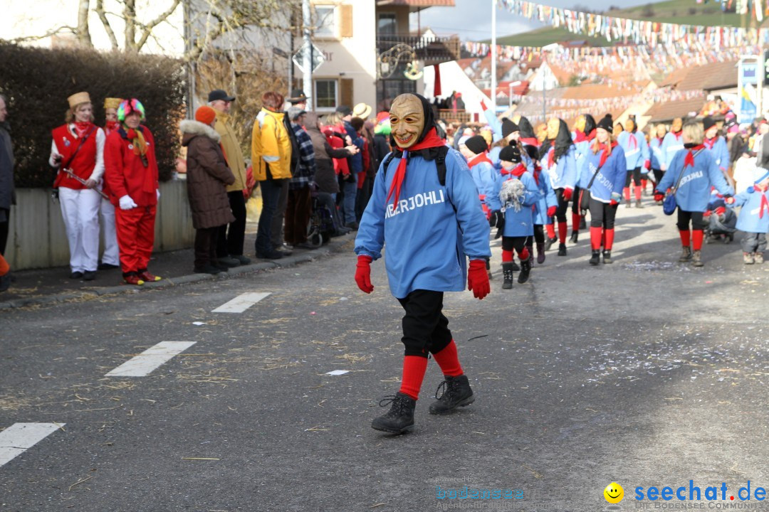 Narrentreffen - NV Kamelia: Tengen am Bodensee, 03.02.2013