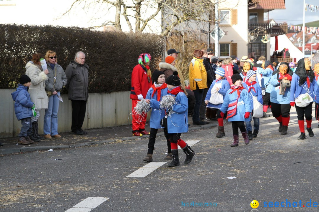 Narrentreffen - NV Kamelia: Tengen am Bodensee, 03.02.2013