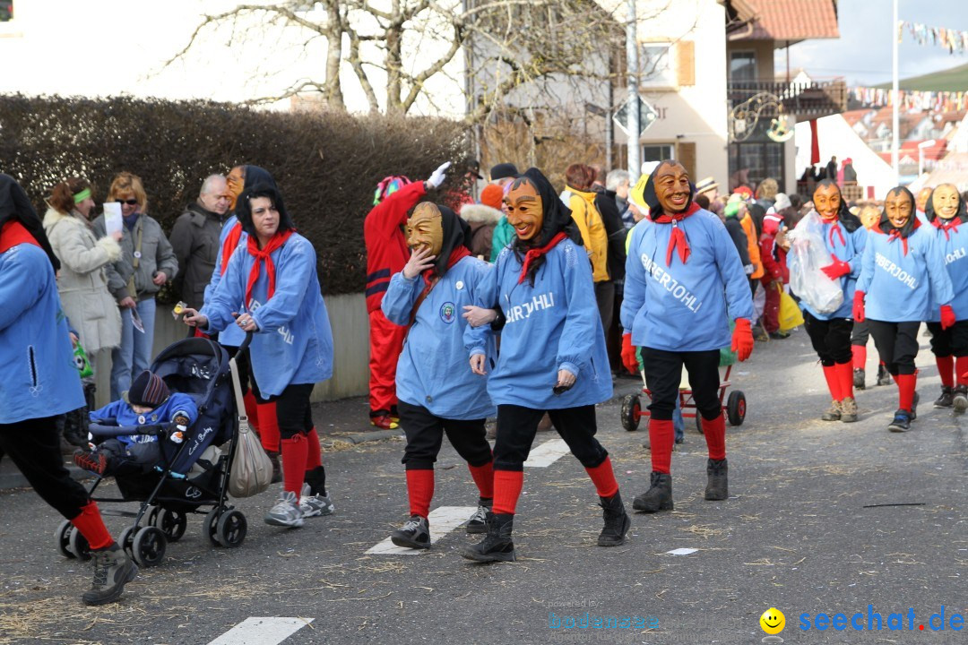 Narrentreffen - NV Kamelia: Tengen am Bodensee, 03.02.2013