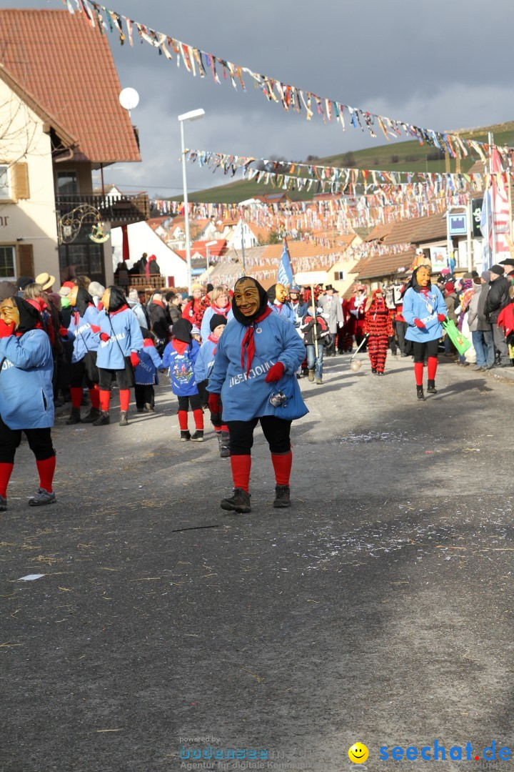 Narrentreffen - NV Kamelia: Tengen am Bodensee, 03.02.2013