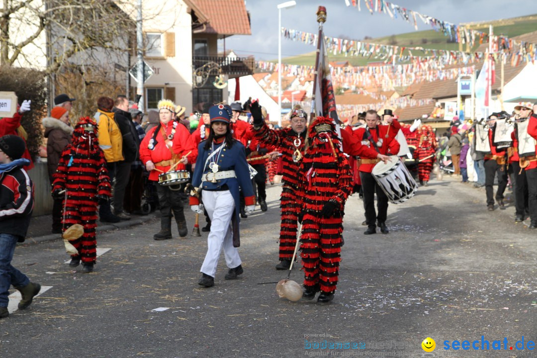 Narrentreffen - NV Kamelia: Tengen am Bodensee, 03.02.2013