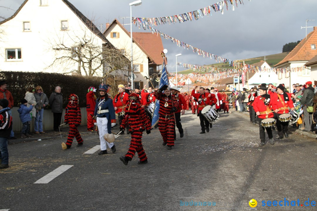 Narrentreffen - NV Kamelia: Tengen am Bodensee, 03.02.2013