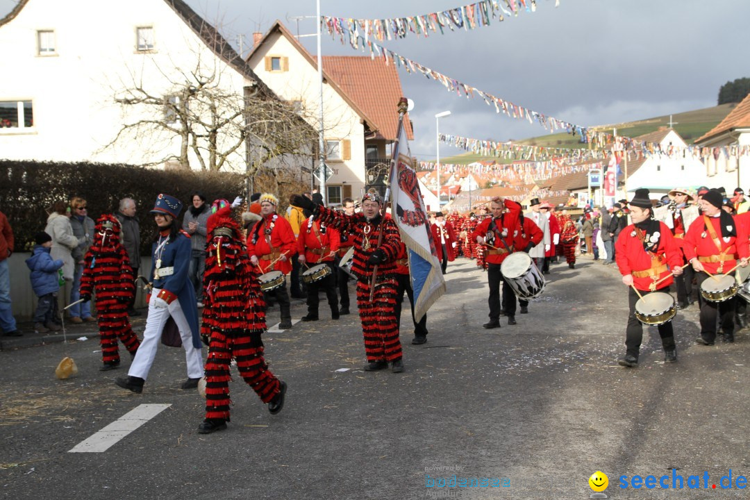 Narrentreffen - NV Kamelia: Tengen am Bodensee, 03.02.2013