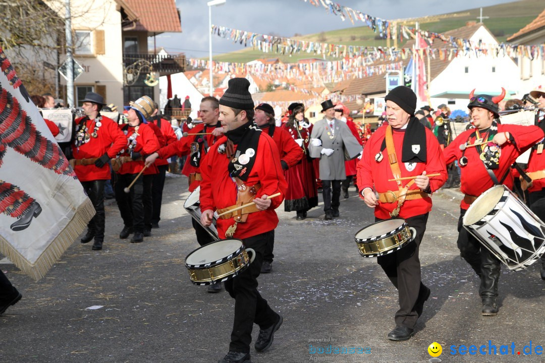 Narrentreffen - NV Kamelia: Tengen am Bodensee, 03.02.2013