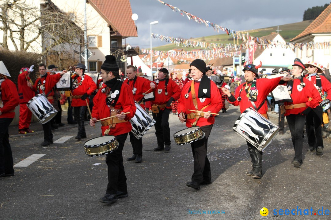 Narrentreffen - NV Kamelia: Tengen am Bodensee, 03.02.2013