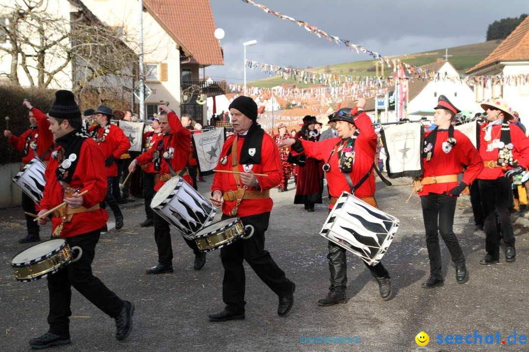 Narrentreffen - NV Kamelia: Tengen am Bodensee, 03.02.2013