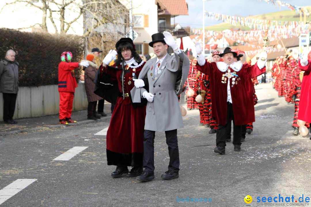 Narrentreffen - NV Kamelia: Tengen am Bodensee, 03.02.2013