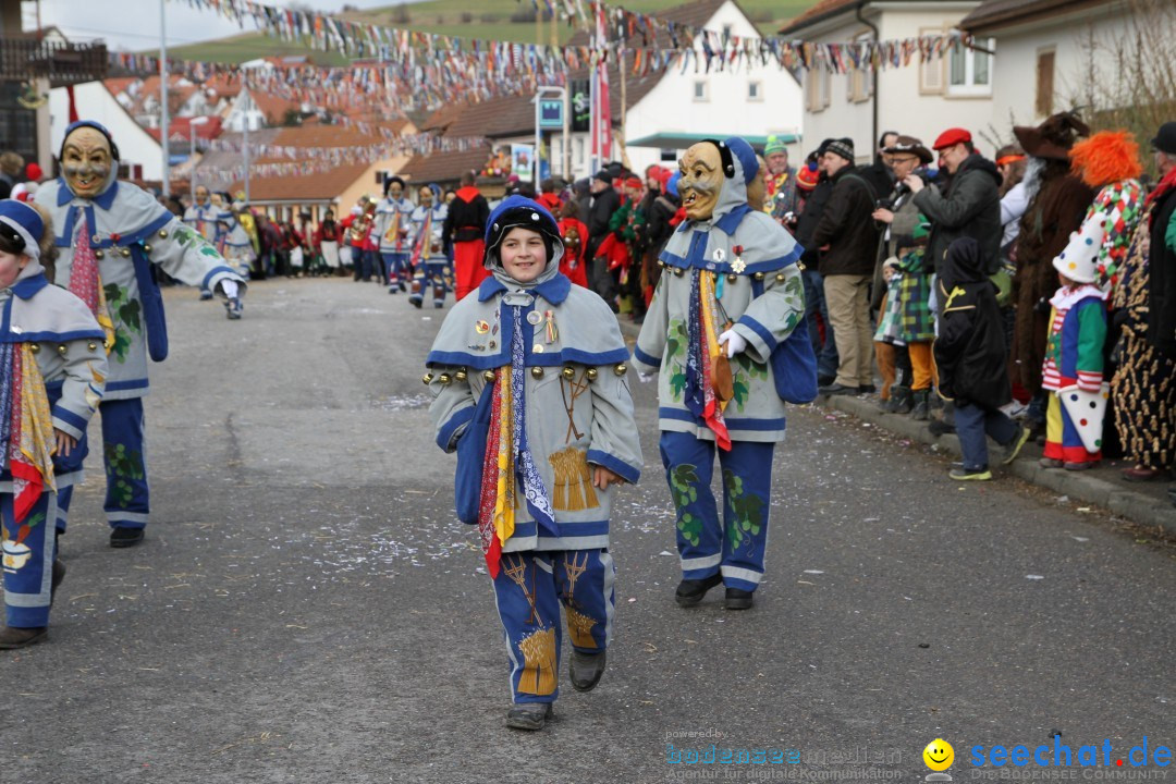 Narrentreffen - NV Kamelia: Tengen am Bodensee, 03.02.2013