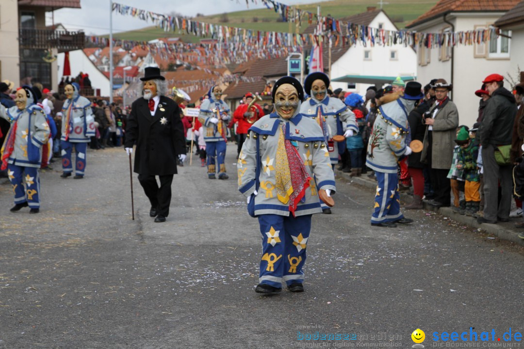 Narrentreffen - NV Kamelia: Tengen am Bodensee, 03.02.2013