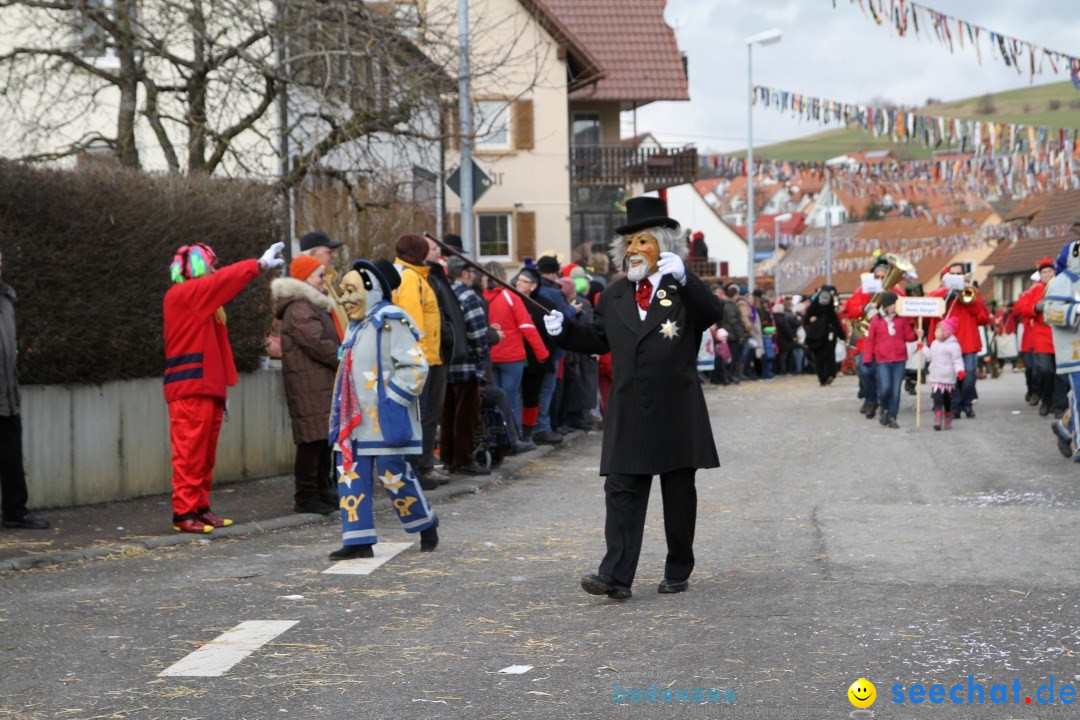 Narrentreffen - NV Kamelia: Tengen am Bodensee, 03.02.2013