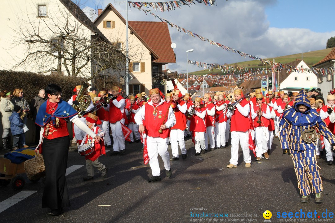 Narrentreffen - NV Kamelia: Tengen am Bodensee, 03.02.2013