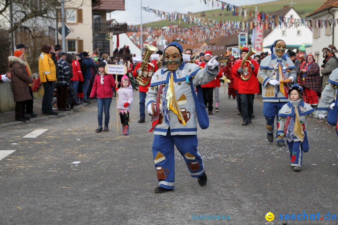 Narrentreffen - NV Kamelia: Tengen am Bodensee, 03.02.2013