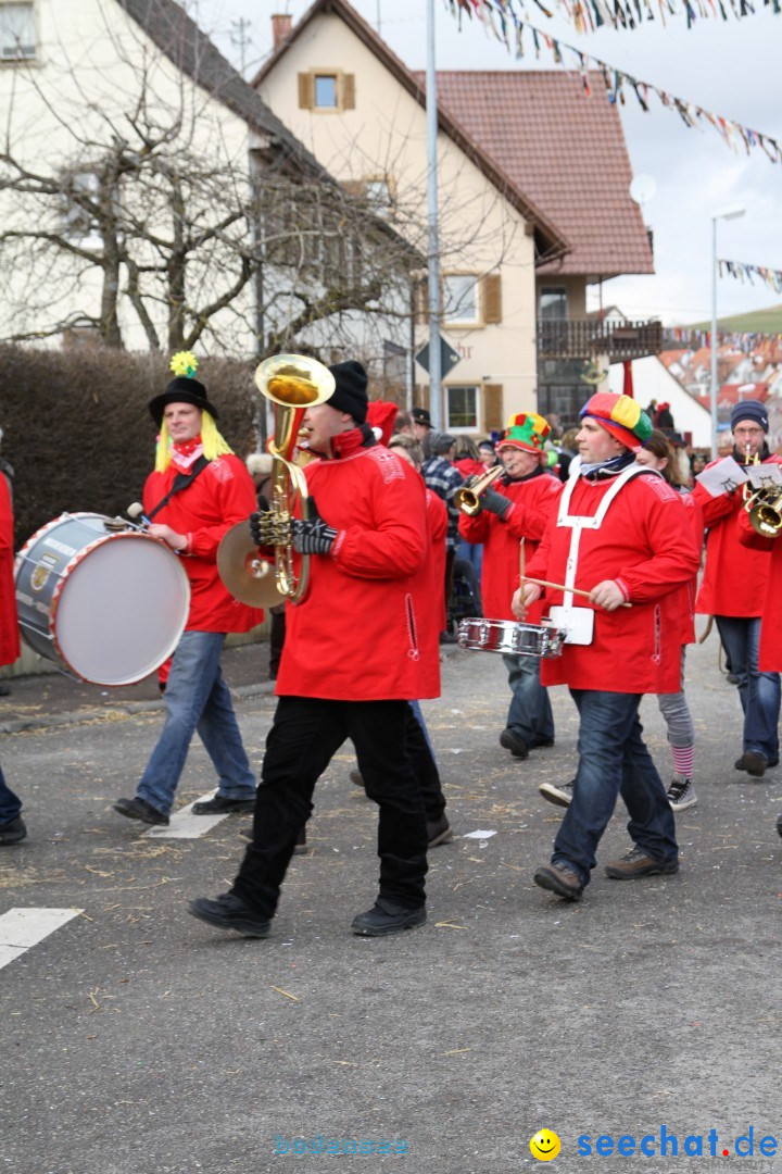 Narrentreffen - NV Kamelia: Tengen am Bodensee, 03.02.2013