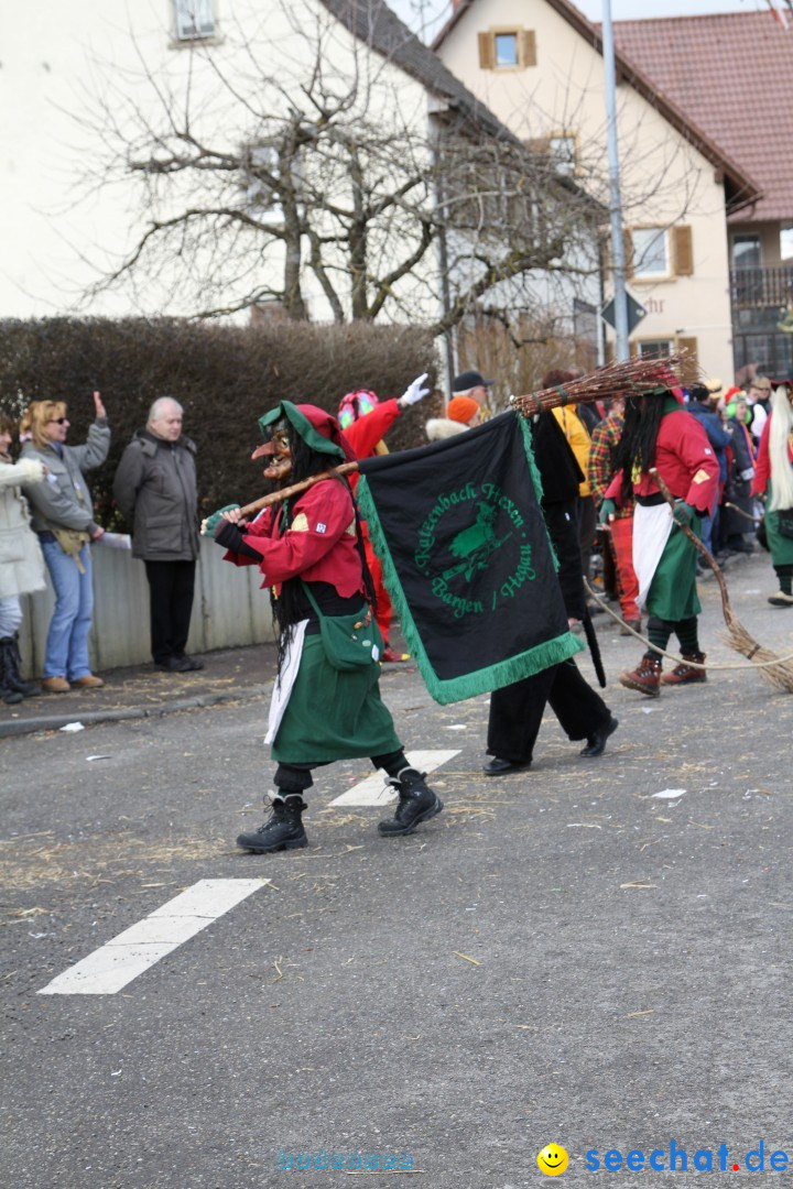 Narrentreffen - NV Kamelia: Tengen am Bodensee, 03.02.2013