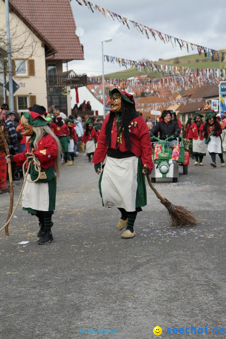 Narrentreffen - NV Kamelia: Tengen am Bodensee, 03.02.2013