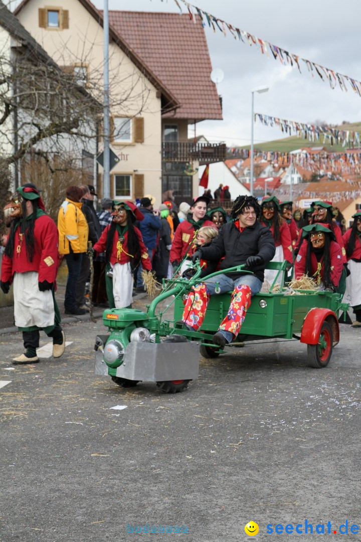 Narrentreffen - NV Kamelia: Tengen am Bodensee, 03.02.2013