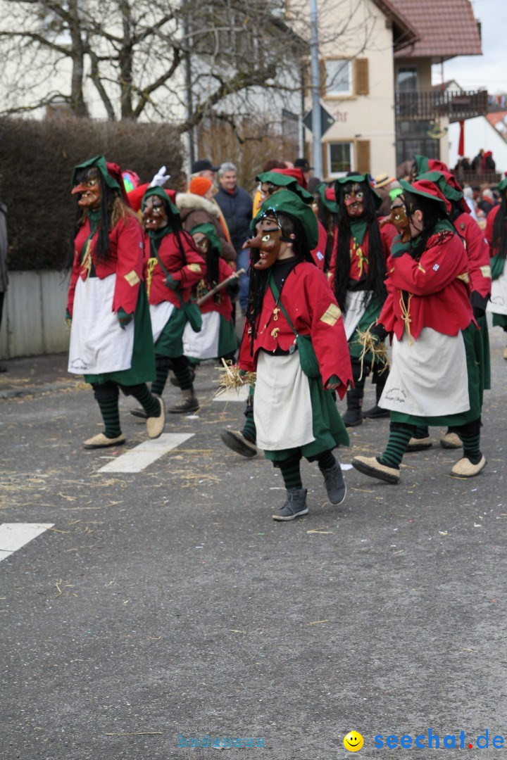 Narrentreffen - NV Kamelia: Tengen am Bodensee, 03.02.2013