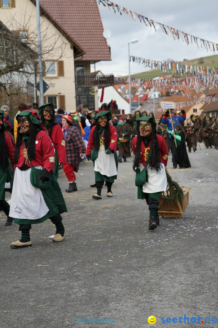 Narrentreffen - NV Kamelia: Tengen am Bodensee, 03.02.2013