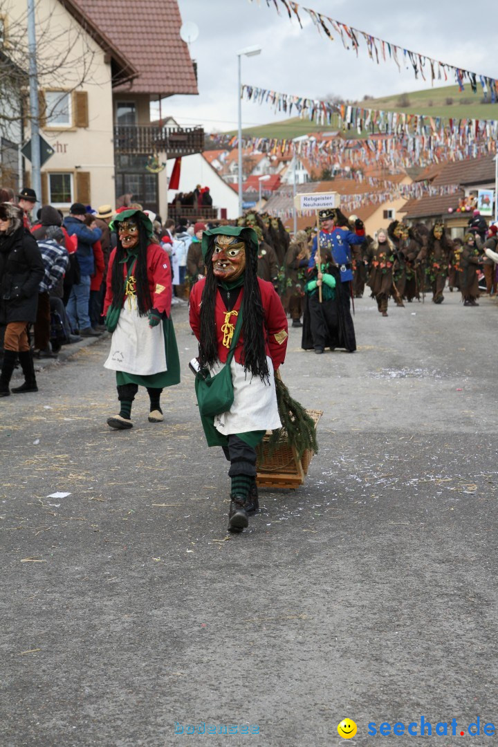 Narrentreffen - NV Kamelia: Tengen am Bodensee, 03.02.2013