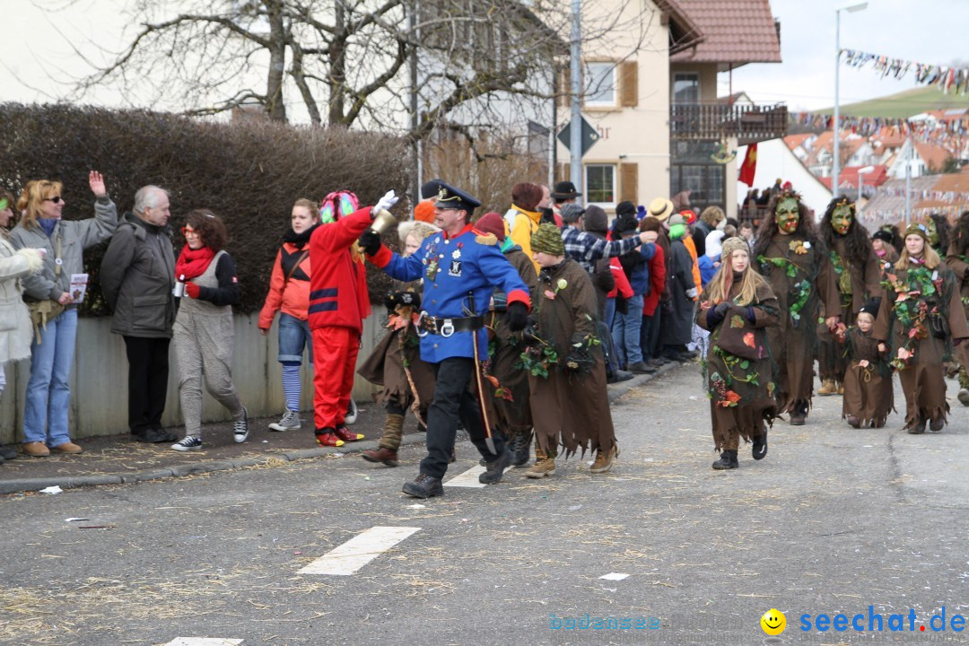 Narrentreffen - NV Kamelia: Tengen am Bodensee, 03.02.2013