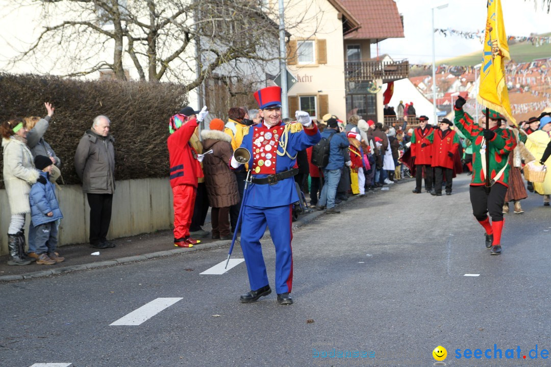 Narrentreffen - NV Kamelia: Tengen am Bodensee, 03.02.2013