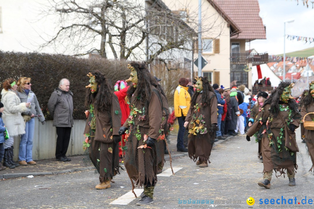 Narrentreffen - NV Kamelia: Tengen am Bodensee, 03.02.2013