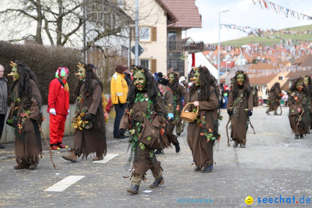 Narrentreffen - NV Kamelia: Tengen am Bodensee, 03.02.2013