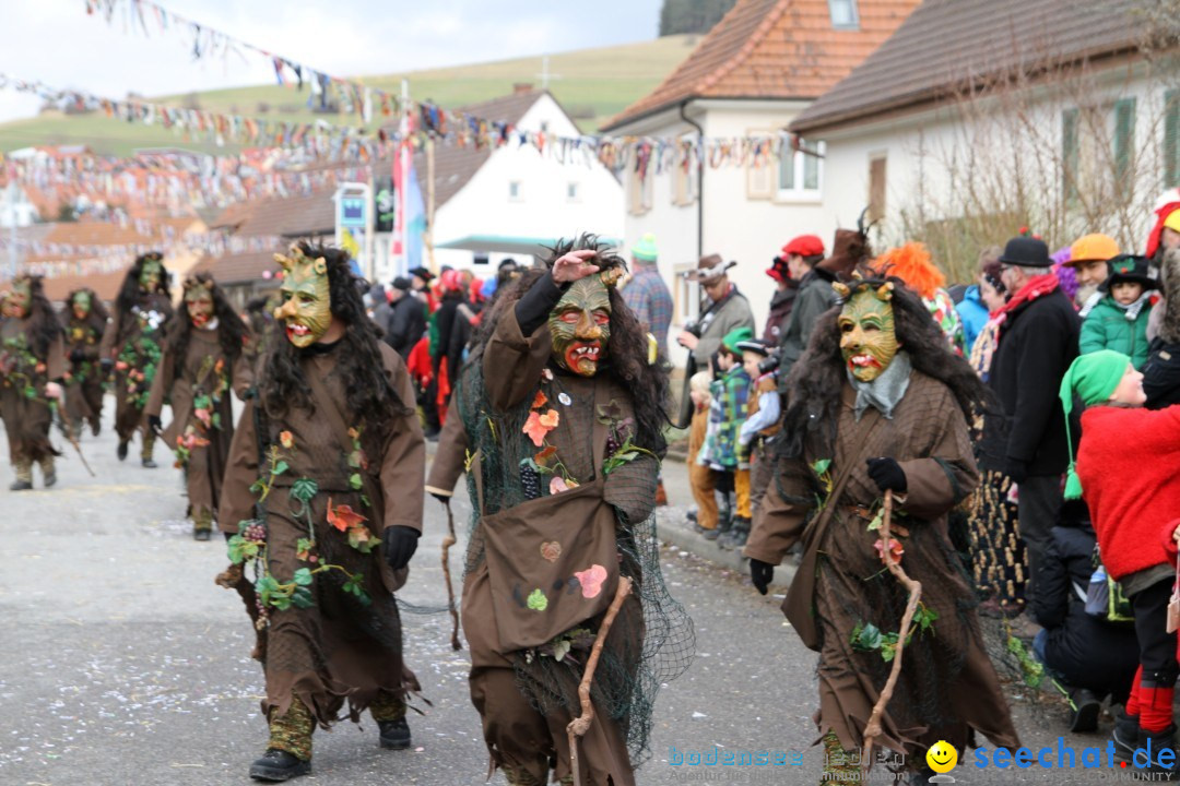 Narrentreffen - NV Kamelia: Tengen am Bodensee, 03.02.2013