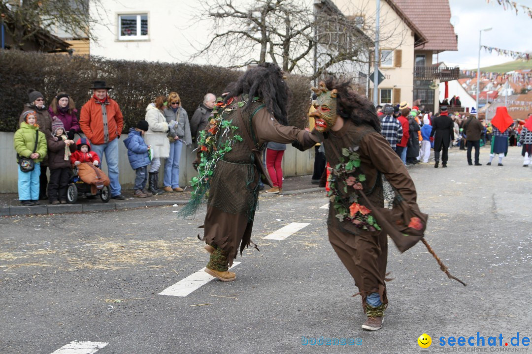 Narrentreffen - NV Kamelia: Tengen am Bodensee, 03.02.2013