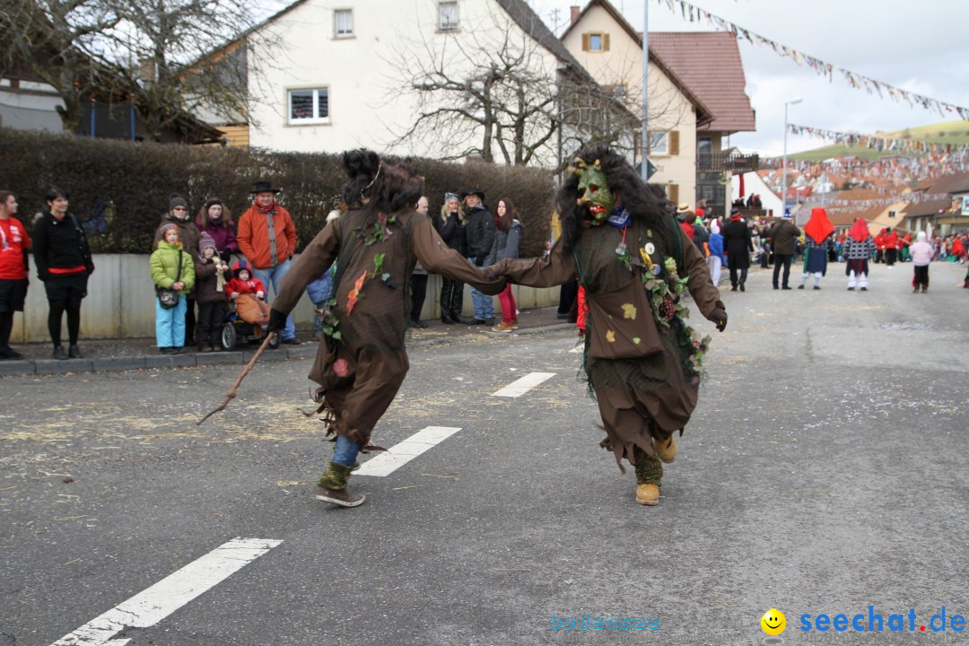 Narrentreffen - NV Kamelia: Tengen am Bodensee, 03.02.2013