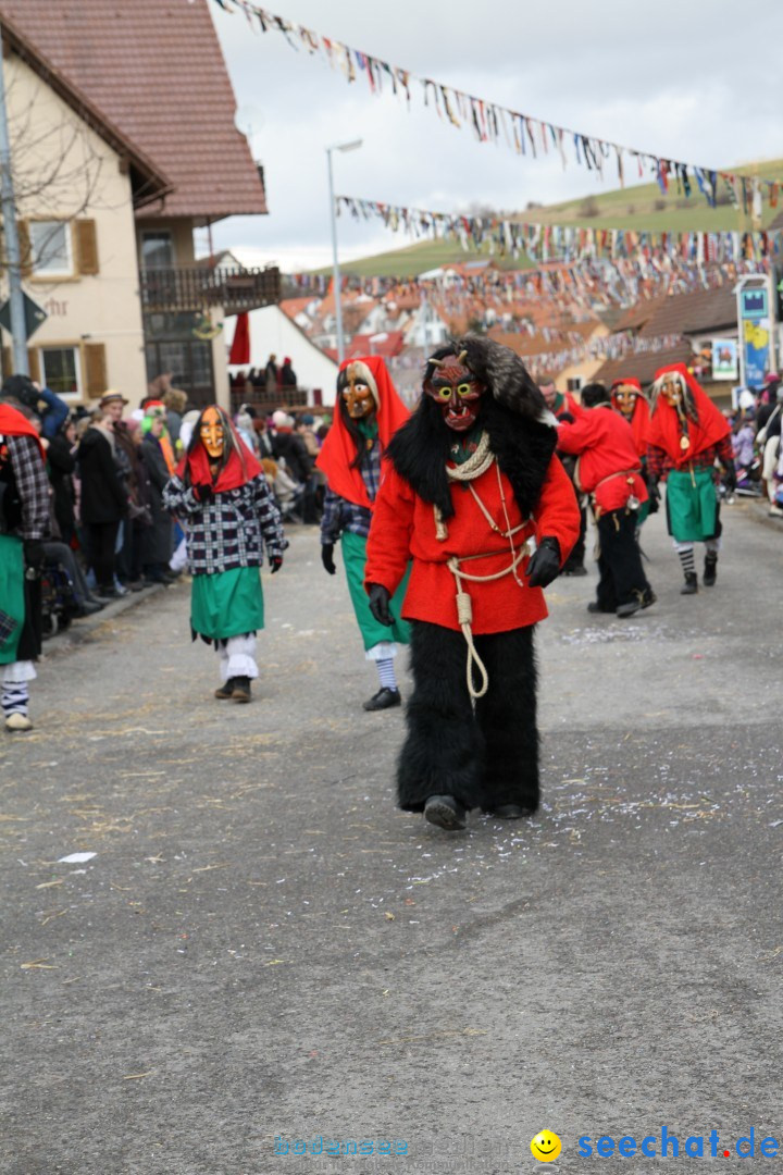 Narrentreffen - NV Kamelia: Tengen am Bodensee, 03.02.2013