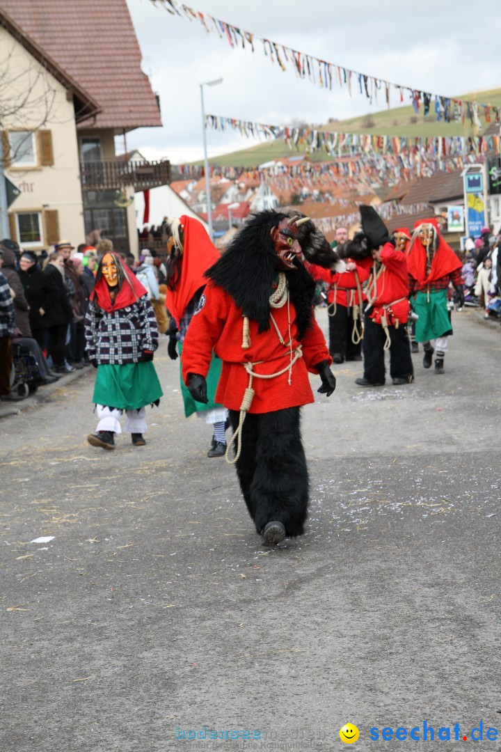 Narrentreffen - NV Kamelia: Tengen am Bodensee, 03.02.2013