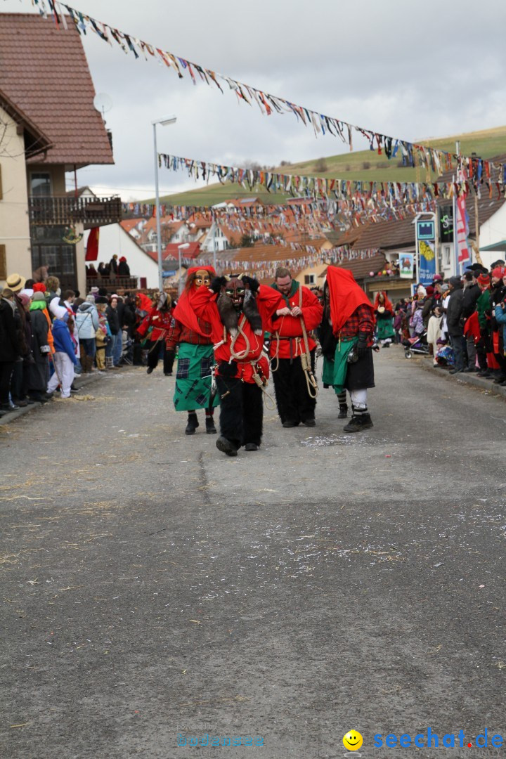 Narrentreffen - NV Kamelia: Tengen am Bodensee, 03.02.2013