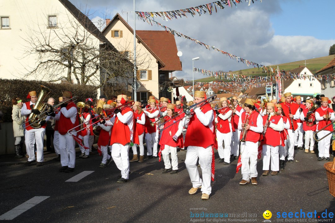 Narrentreffen - NV Kamelia: Tengen am Bodensee, 03.02.2013