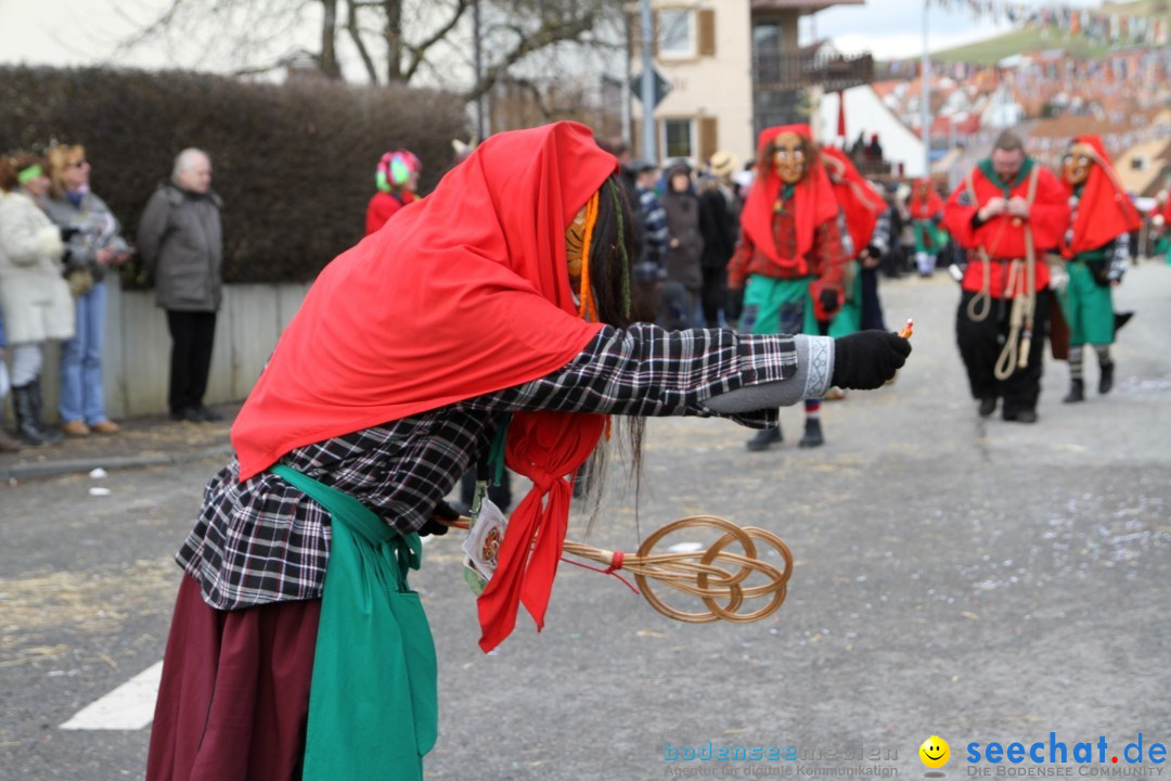 Narrentreffen - NV Kamelia: Tengen am Bodensee, 03.02.2013