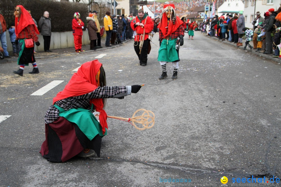 Narrentreffen - NV Kamelia: Tengen am Bodensee, 03.02.2013