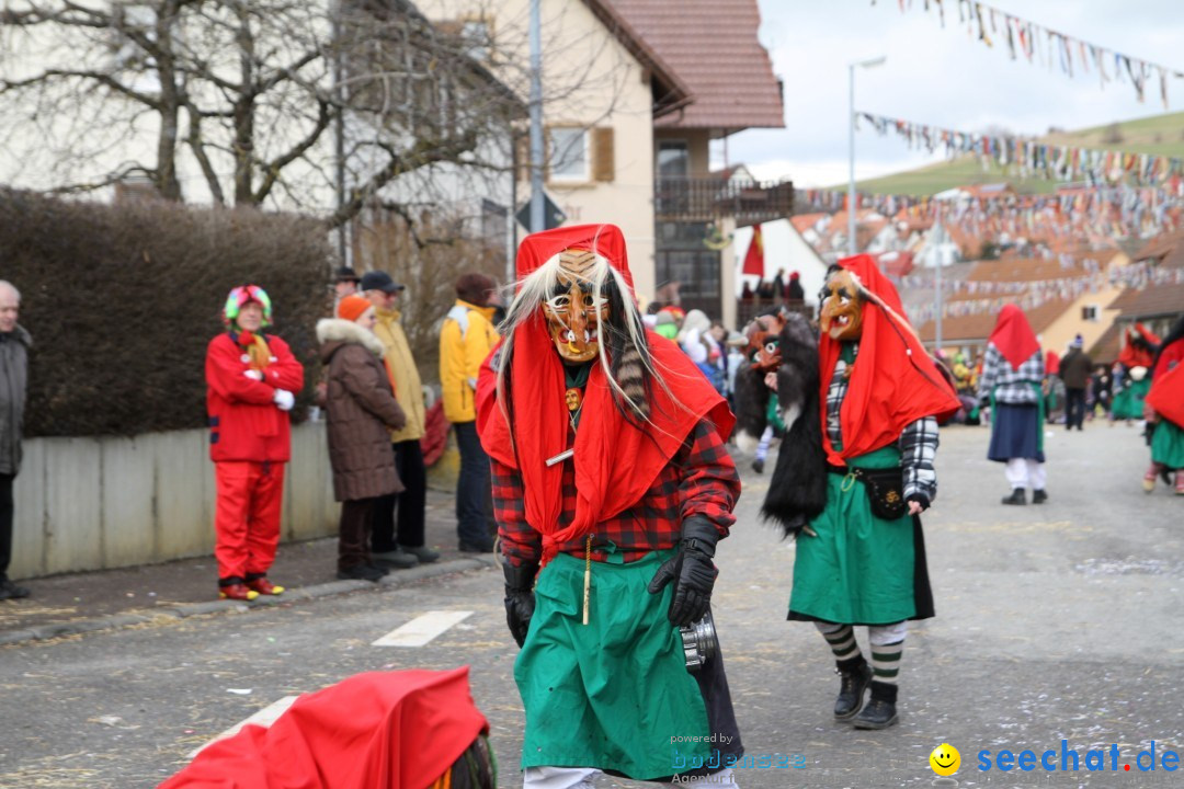 Narrentreffen - NV Kamelia: Tengen am Bodensee, 03.02.2013