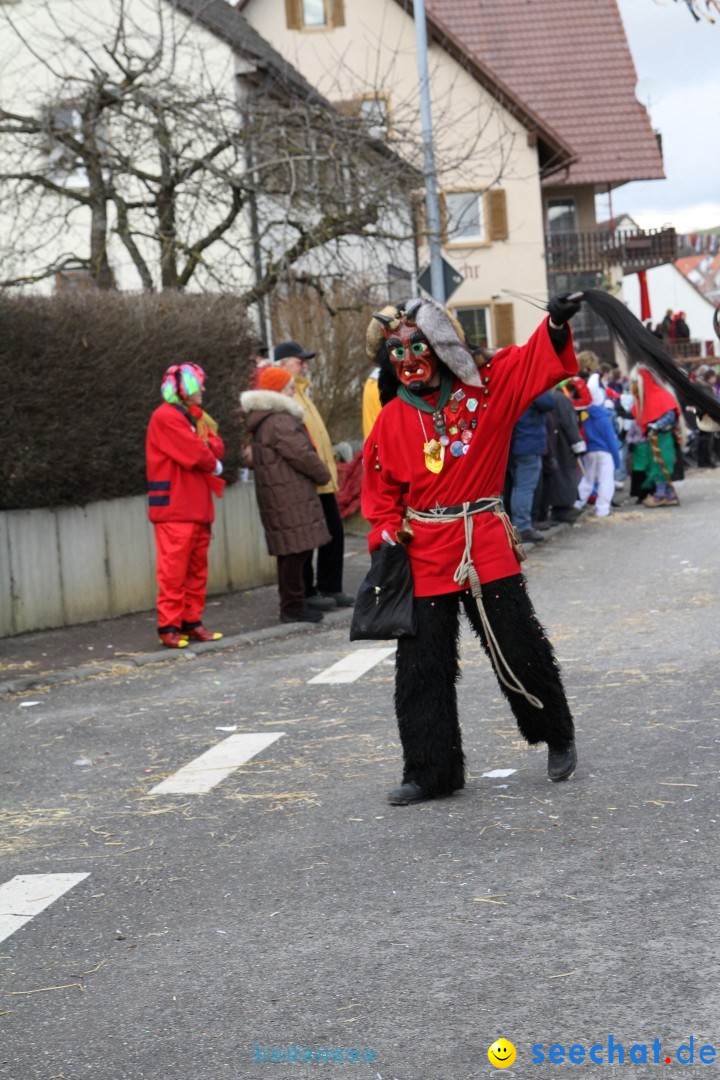 Narrentreffen - NV Kamelia: Tengen am Bodensee, 03.02.2013