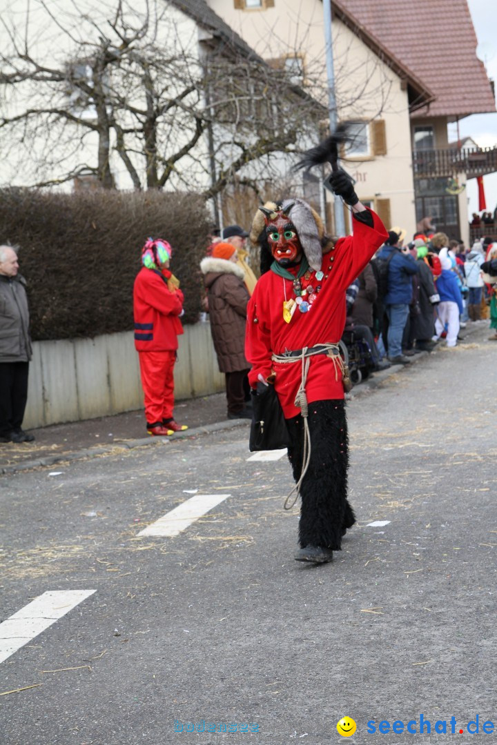 Narrentreffen - NV Kamelia: Tengen am Bodensee, 03.02.2013