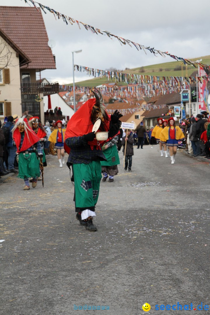 Narrentreffen - NV Kamelia: Tengen am Bodensee, 03.02.2013