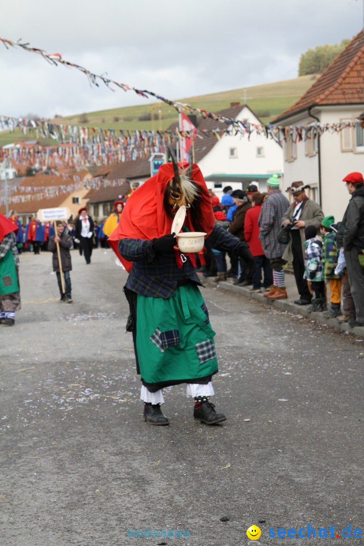 Narrentreffen - NV Kamelia: Tengen am Bodensee, 03.02.2013