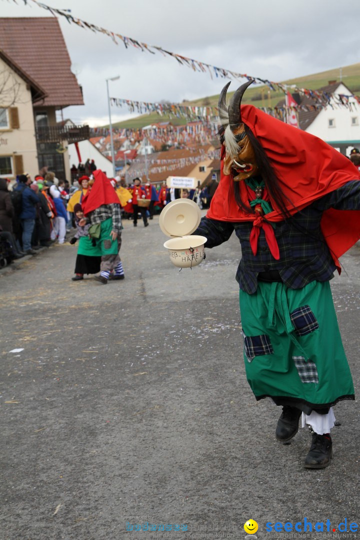 Narrentreffen - NV Kamelia: Tengen am Bodensee, 03.02.2013