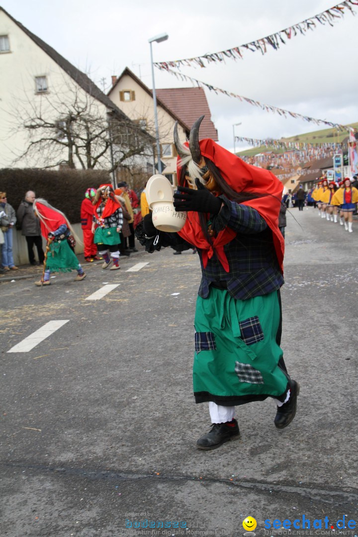 Narrentreffen - NV Kamelia: Tengen am Bodensee, 03.02.2013