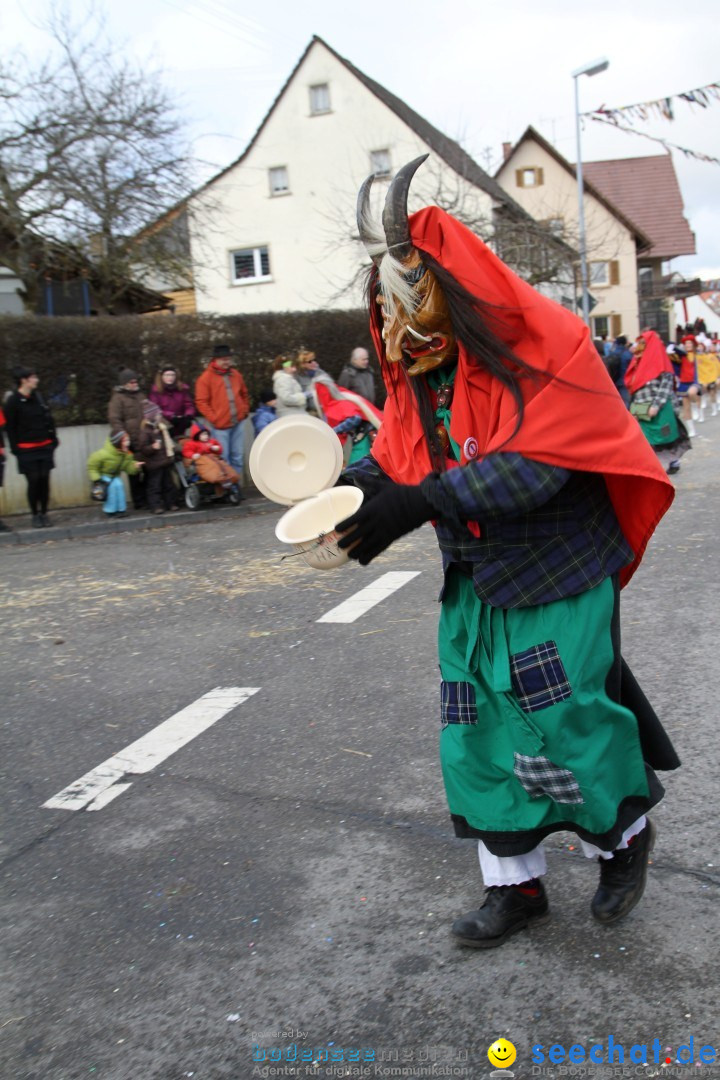 Narrentreffen - NV Kamelia: Tengen am Bodensee, 03.02.2013