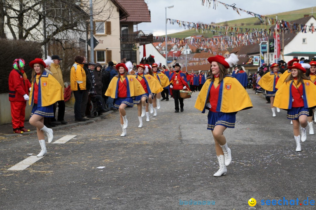 Narrentreffen - NV Kamelia: Tengen am Bodensee, 03.02.2013