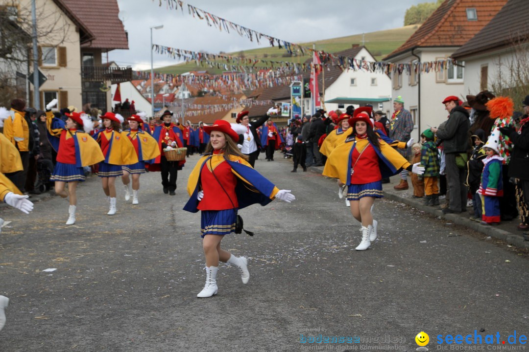 Narrentreffen - NV Kamelia: Tengen am Bodensee, 03.02.2013