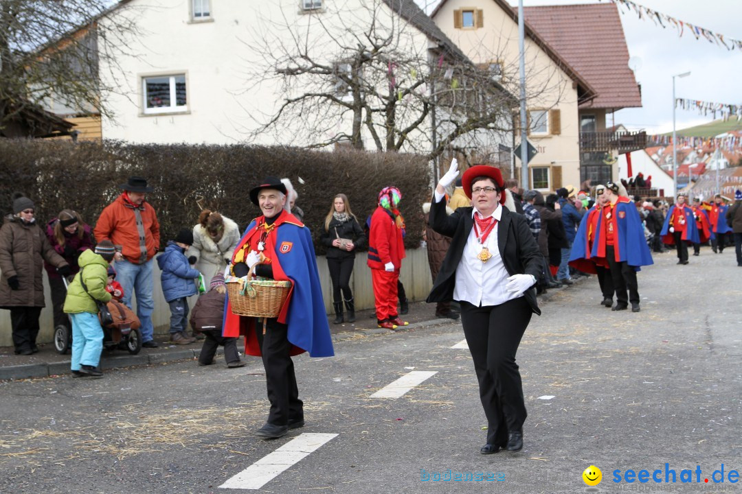 Narrentreffen - NV Kamelia: Tengen am Bodensee, 03.02.2013