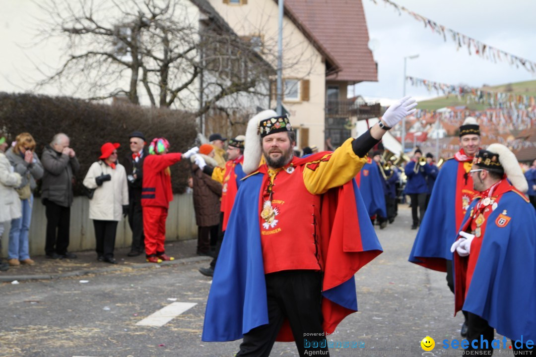 Narrentreffen - NV Kamelia: Tengen am Bodensee, 03.02.2013