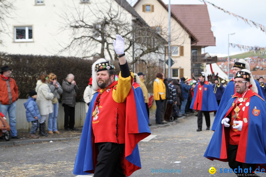 Narrentreffen - NV Kamelia: Tengen am Bodensee, 03.02.2013